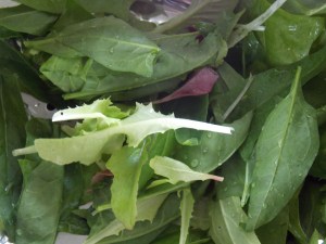 Fresh salad from the garden